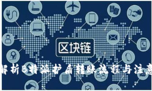 全面解析B特派护盾转账流程与注意事项