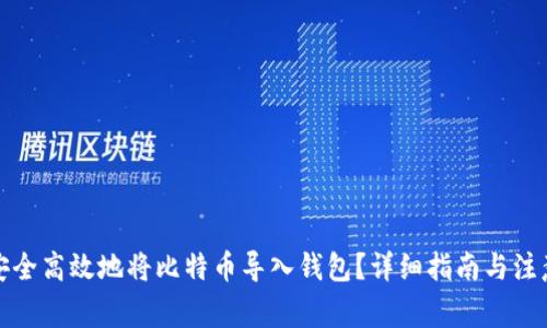 如何安全高效地将比特币导入钱包？详细指南与注意事项