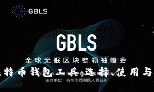 全面解析比特币钱包工具：选择、使用与安全性指南
