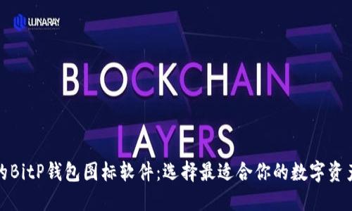 探索最佳的BitP钱包图标软件：选择最适合你的数字资产管理工具