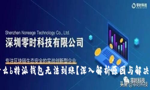 为什么b特派钱包无法到账？深入解析原因与解决方案