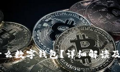 USDT存放在什么数字钱包？详细解读及推荐钱包选择