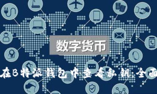 如何在B特派钱包中查看私钥：全面指南