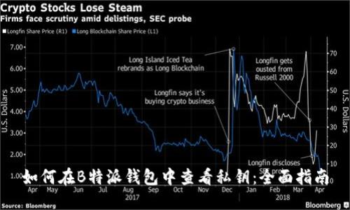 如何在B特派钱包中查看私钥：全面指南
