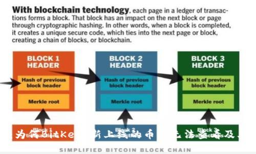 深入解析：为何BitKeep新上线的币种无法查看及其解决方案