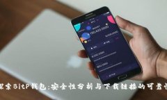 探索BitP钱包：安全性分析
