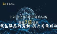 揭开比特派钱包骗局的真相：图片高清