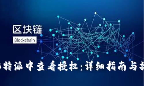 如何在B特派中查看授权:详细指南与操作步骤