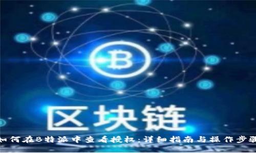 如何在B特派中查看授权:详细指南与操作步骤