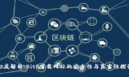 彻底解析:BitP下载网站的安全性与真实性探讨
