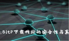 彻底解析：BitP下载网站的安全性与真