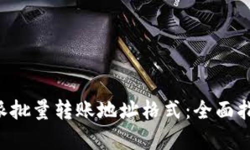 深入解析B特派批量转账地址格式:全面指南与实用技巧