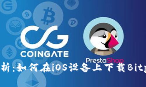 全面解析:如何在iOS设备上下载Bitpie钱包