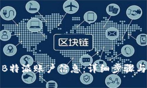 如何查询B特派账户信息:详细步骤与注意事项