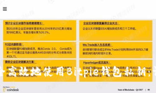 如何安全高效地使用Bitpie钱包私钥:详尽指南