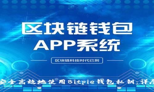 如何安全高效地使用Bitpie钱包私钥:详尽指南