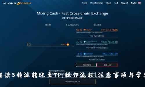 全面解读B特派转账至TP:操作流程、注意事项与常见问题
