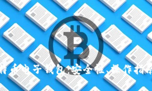 全面解析比特币电子钱包:安全性、操作指南及最佳选择