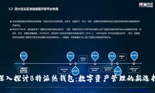 深入探讨B特派热钱包:数字资产管理的新选择