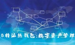 深入探讨B特派热钱包：数字资产管理