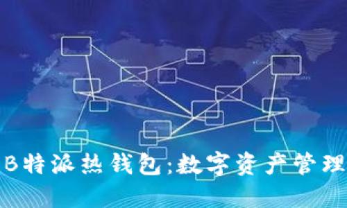 深入探讨B特派热钱包:数字资产管理的新选择