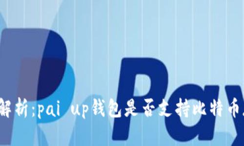 深入解析:pai up钱包是否支持比特币存储?