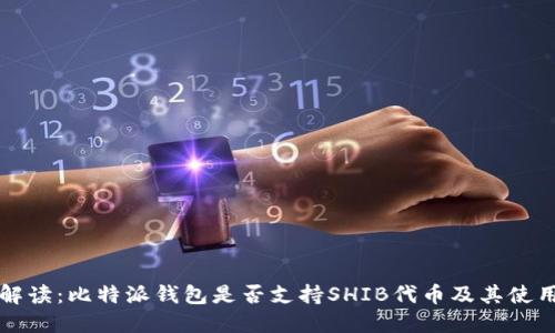 全面解读:比特派钱包是否支持SHIB代币及其使用指南
