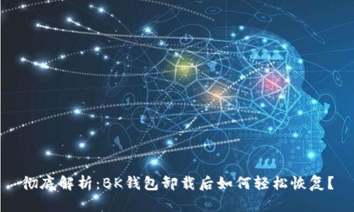 彻底解析:BK钱包卸载后如何轻松恢复?