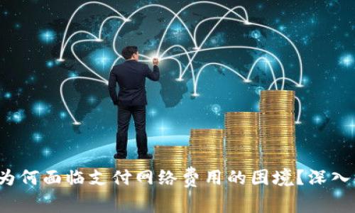 Web3生态系统为何面临支付网络费用的困境?深入解析与解决方案