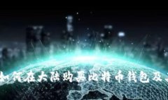 全面指南：如何在大陆购买比特币钱包