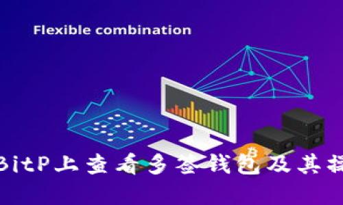 如何在BitP上查看多签钱包及其操作详解