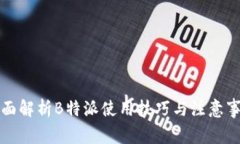 全面解析B特派使用技巧与注意事项