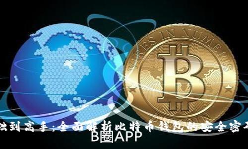 从基础到高手:全面解析比特币钱包的安全密码保护
