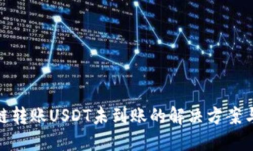 TP钱包跨链转账USDT未到账的解决方案与预防措施