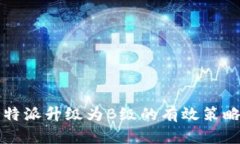 全面解析：B特派升级为B级的有效策略