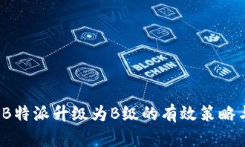 全面解析:B特派升级为B级的有效策略与前景展望