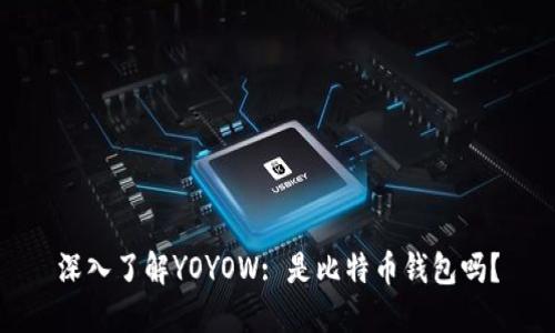 深入了解YOYOW: 是比特币钱包吗?