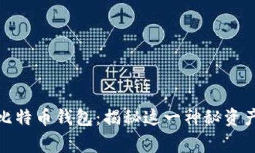 : 中本聪的比特币钱包:揭秘这一神秘资产背后的故事
