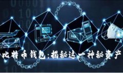 : 中本聪的比特币钱包：揭秘这一神秘