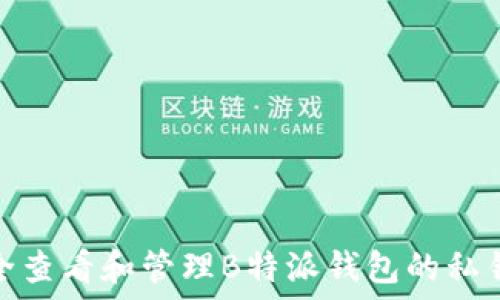 如何安全查看和管理B特派钱包的私钥和密码