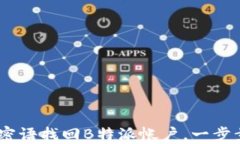 彻底揭秘：如何通过密语找回B特派帐