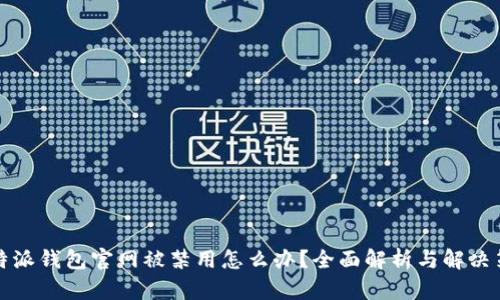 比特派钱包官网被禁用怎么办?全面解析与解决策略