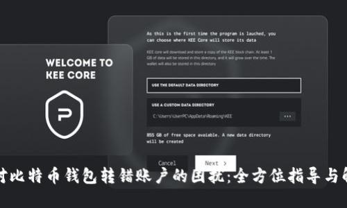 如何应对比特币钱包转错账户的困扰:全方位指导与解决方案