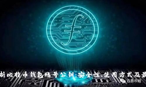 全面解析比特币钱包账号公钥:安全性、使用方式及最佳实践