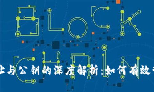比特币钱包地址与公钥的深度解析:如何有效管理与安全使用