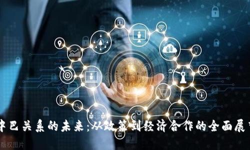 中巴关系的未来:从政策到经济合作的全面展望