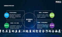 中巴关系的未来：从政策到经济合作的