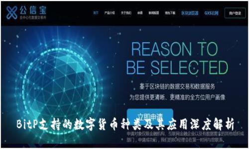 BitP支持的数字货币种类及其应用深度解析