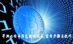 早期比特币钱包找回指南：实用步骤与