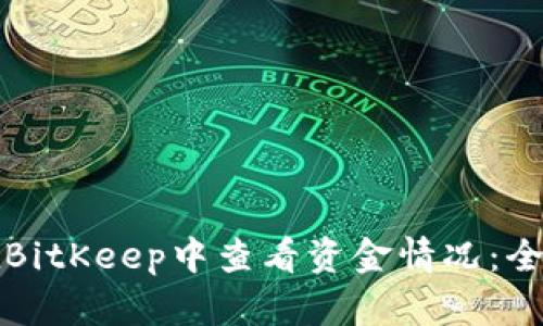 如何在BitKeep中查看资金情况:全面指南